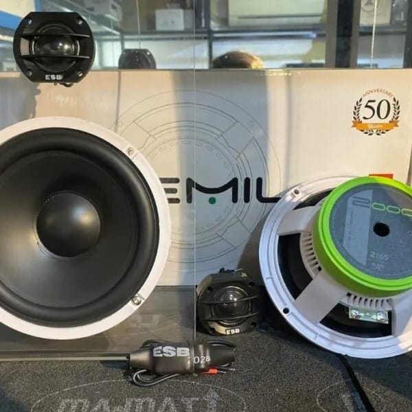 Loa cánh ESB Audio 2.6K2 5 Loa cánh ESB Audio 2.6K2 - Ảnh 5