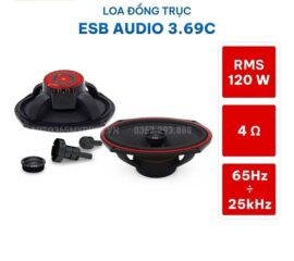 Loa đồng trục ESB Audio 3.69C
