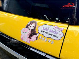Các loại decal thường dùng để dán tem VF3